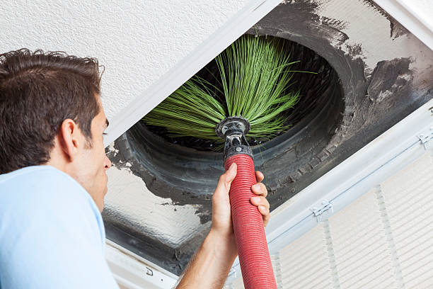Air Duct Mold Removal in Point Pleasant, NJ
